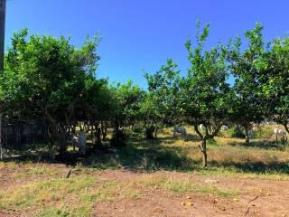 Casale Strada Provinciale Fondi Sperlonga, Sperlonga — foto 24 di 32