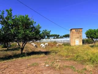 Casale Strada Provinciale Fondi Sperlonga, Sperlonga — foto 19 di 32
