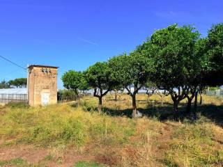 Casale Strada Provinciale Fondi Sperlonga, Sperlonga — foto 11 di 32