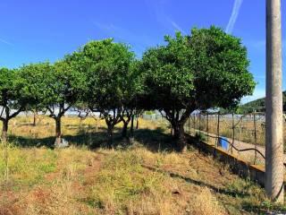Casale Strada Provinciale Fondi Sperlonga, Sperlonga — foto 8 di 32