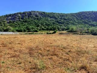 Casale Strada Provinciale Fondi Sperlonga, Sperlonga — foto 22 di 32