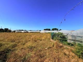 Casale Strada Provinciale Fondi Sperlonga, Sperlonga — foto 17 di 32