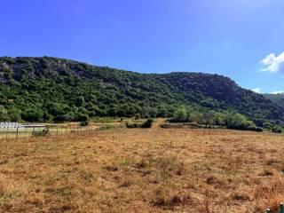 Casale Strada Provinciale Fondi Sperlonga, Sperlonga — foto 14 di 32