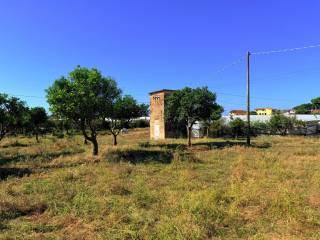 Casale Strada Provinciale Fondi Sperlonga, Sperlonga — foto 2 di 32