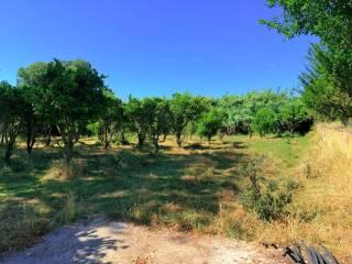 Casale Strada Provinciale Fondi Sperlonga, Sperlonga — foto 12 di 32