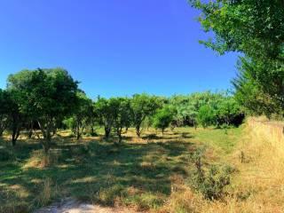 Casale Strada Provinciale Fondi Sperlonga, Sperlonga — foto 28 di 32