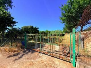 Casale Strada Provinciale Fondi Sperlonga, Sperlonga — foto 31 di 32