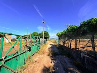 Casale Strada Provinciale Fondi Sperlonga, Sperlonga — foto 25 di 32