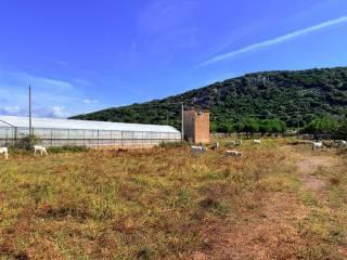 Casale Strada Provinciale Fondi Sperlonga, Sperlonga — foto 30 di 32