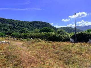 Casale Strada Provinciale Fondi Sperlonga, Sperlonga — foto 15 di 32