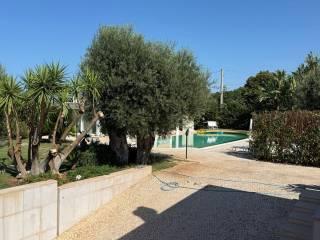 Villa unifamiliare 300 m², Fasano Paese, Fasano — foto 17 di 20