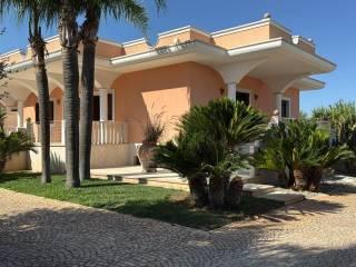 Villa unifamiliare 300 m², Fasano Paese, Fasano — foto 6 di 20