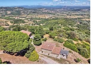 Rustico località termine rosso  222, Suvereto — foto 14 di 38