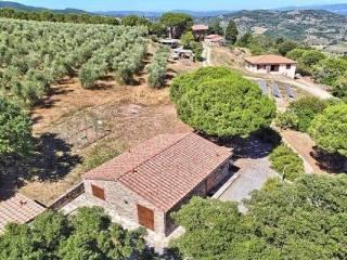 Rustico località termine rosso  222, Suvereto — foto 4 di 38