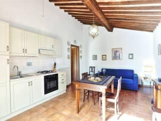 Rustico località termine rosso  222, Suvereto — foto 35 di 38