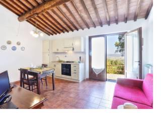 Rustico località termine rosso  222, Suvereto — foto 13 di 38