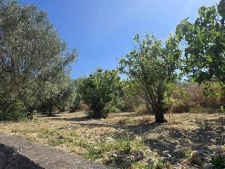 Villa unifamiliare contrada Cusatino, Caltanissetta — foto 14 di 38