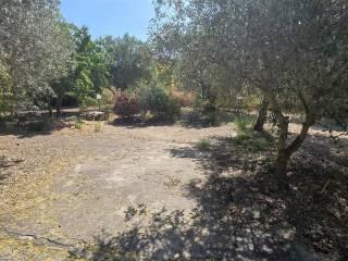 Villa unifamiliare contrada Cusatino, Caltanissetta — foto 28 di 38