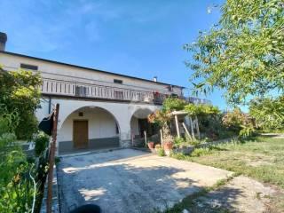 Casa colonica Contrada testara 27, Campodipietra — foto 3 di 15
