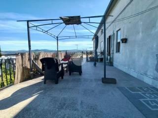 Casa colonica Contrada testara 27, Campodipietra — foto 2 di 15