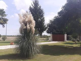 Villa unifamiliare via Viola, Longastrino, Argenta — foto 5 di 20