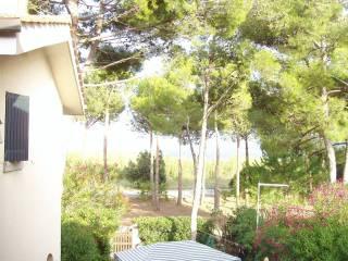 Bilocale Strada Provinciale Giannella 29, Giannella, Orbetello — foto 8 di 13