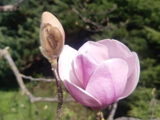 Casale via delle Rose, Giarre — foto 12 di 15