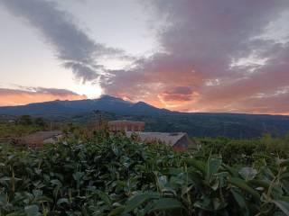 Casale via delle Rose, Giarre — foto 10 di 15