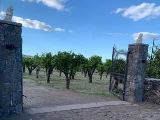 Casale via delle Rose, Giarre — foto 7 di 15