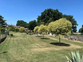 Rustico via Aldo Moro 15, Sipicciano, Graffignano — foto 9 di 15