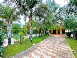 Villa unifamiliare via Acheronte 31, Lido, Policoro — foto 6 di 19