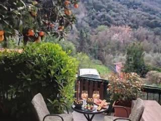 Rustico via Figliola 1, Casano Dogana Isola, Luni — foto 6 di 11