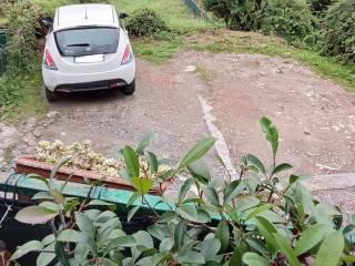 Rustico via Figliola 1, Casano Dogana Isola, Luni — foto 7 di 11