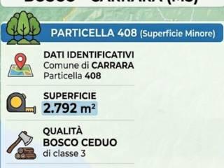 Rustico via Figliola 1, Casano Dogana Isola, Luni — foto 3 di 11