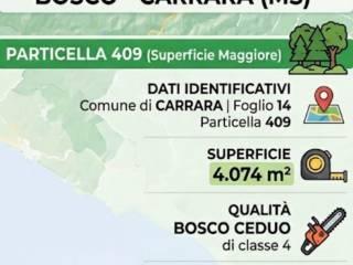 Rustico via Figliola 1, Casano Dogana Isola, Luni — foto 9 di 11