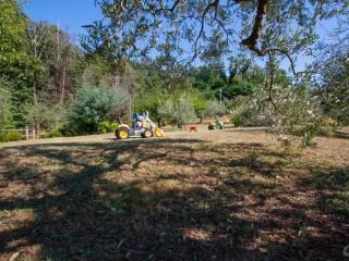 Villa unifamiliare via Cerretta Alta, Vezzano Ligure — foto 3 di 44