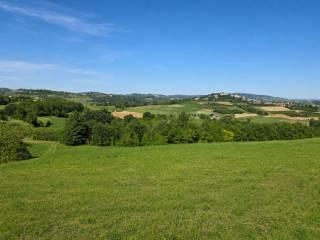 Terratetto unifamiliare Località Case Bertiglia 4, Montiglio Monferrato — foto 25 di 38