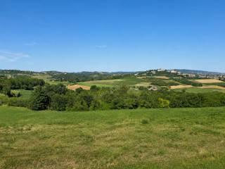 Terratetto unifamiliare Località Case Bertiglia 4, Montiglio Monferrato — foto 15 di 38