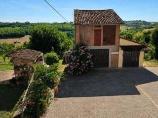 Terratetto unifamiliare Località Case Bertiglia 4, Montiglio Monferrato — foto 23 di 38