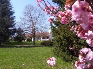 Villa unifamiliare Strada Serra 4, Centro, Antignano — foto 5 di 19