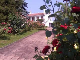 Villa unifamiliare Strada Serra 4, Centro, Antignano — foto 4 di 19
