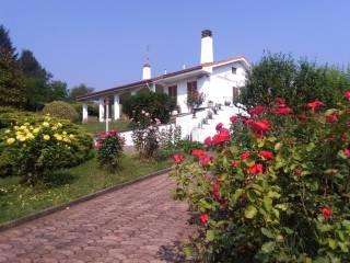 Villa unifamiliare Strada Serra 4, Centro, Antignano — foto 9 di 19