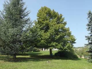 Villa unifamiliare Strada Serra 4, Centro, Antignano — foto 18 di 19