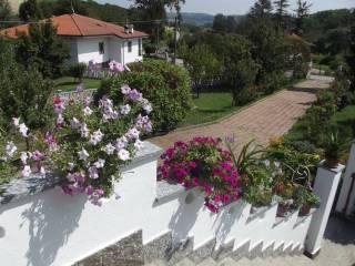 Villa unifamiliare Strada Serra 4, Centro, Antignano — foto 10 di 19