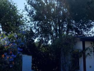 Villa unifamiliare via San Felice Circeo, Centro, San Felice Circeo — foto 39 di 61
