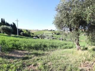 Terratetto unifamiliare traversa Moruzzi, Giulianova — foto 20 di 22