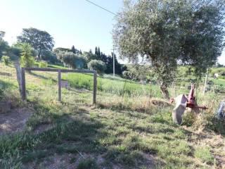 Terratetto unifamiliare traversa Moruzzi, Giulianova — foto 5 di 22