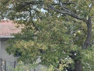 Casale 188 m², Montefiore dell'Aso — foto 32 di 34