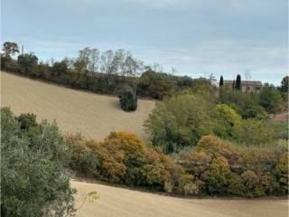 Casale 188 m², Montefiore dell'Aso — foto 26 di 34