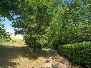 Appartamento 29014 Castell'Arquato Italia, Centro, Castell'Arquato — foto 19 di 30